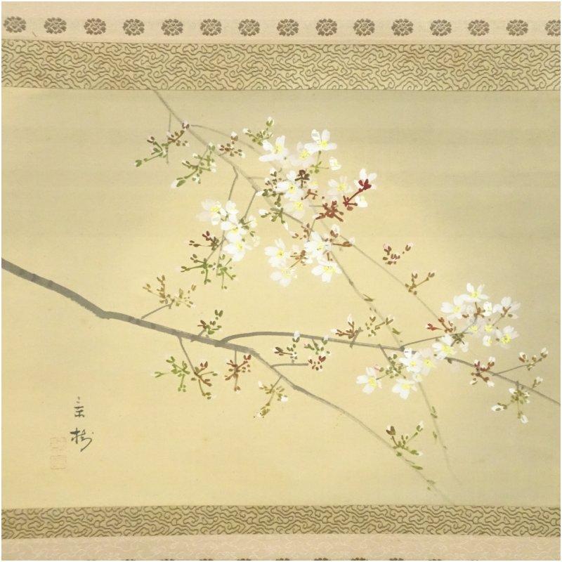 今井景樹筆 夜桜 肉筆絹本掛軸（共箱） : 茶道具と掛軸のショップ