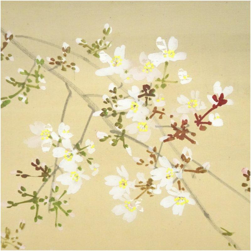 今井景樹筆 夜桜 肉筆絹本掛軸（共箱） : 茶道具と掛軸のショップ