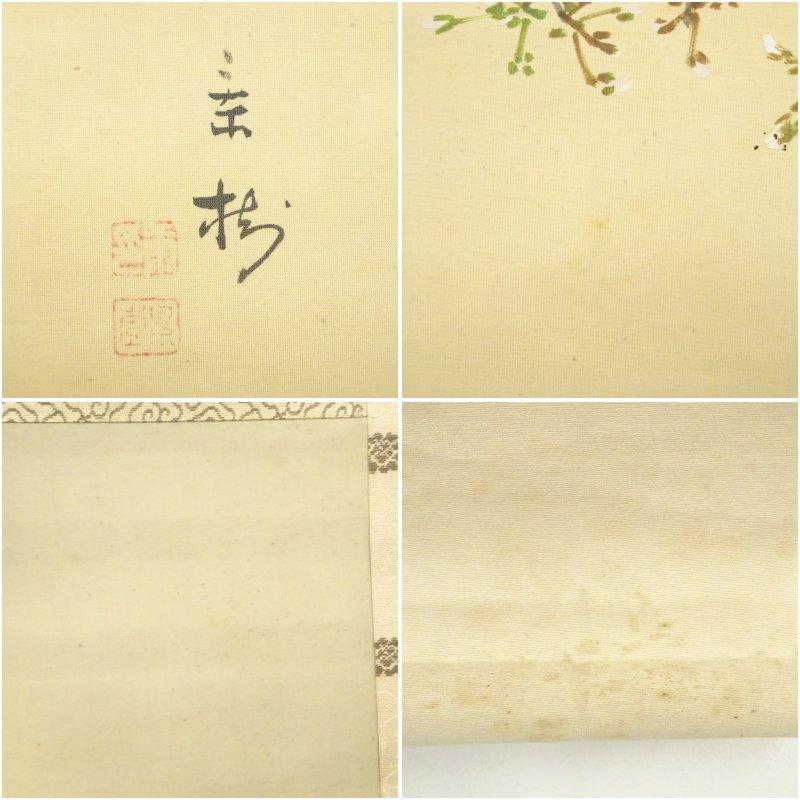 今井景樹筆 夜桜 肉筆絹本掛軸（共箱） : 茶道具と掛軸のショップ