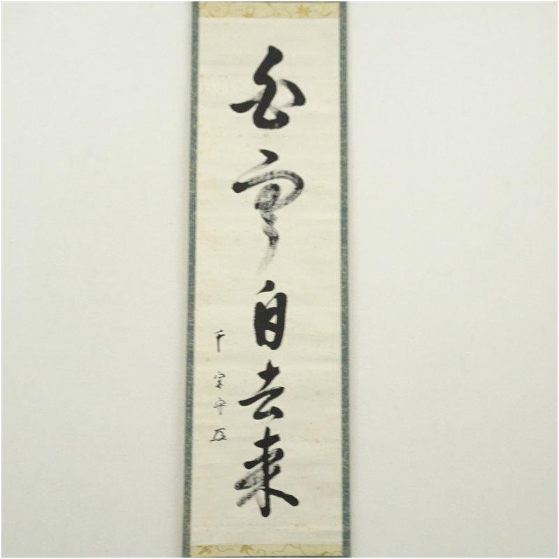 武者小路千家 十三代 有隣斎筆 「白雲自去来」一行書 肉筆紙本掛軸