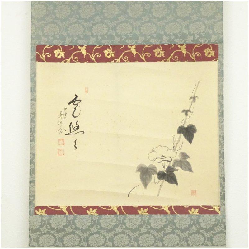 前大徳 西垣大道筆 「雲悠々」行雲筆 朝顔画賛 肉筆紙本掛軸（共箱）の