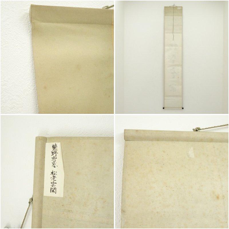 大徳寺　小田雪窓（宗甫）筆　「松老雲閑」一行書　肉筆紙本掛軸_7