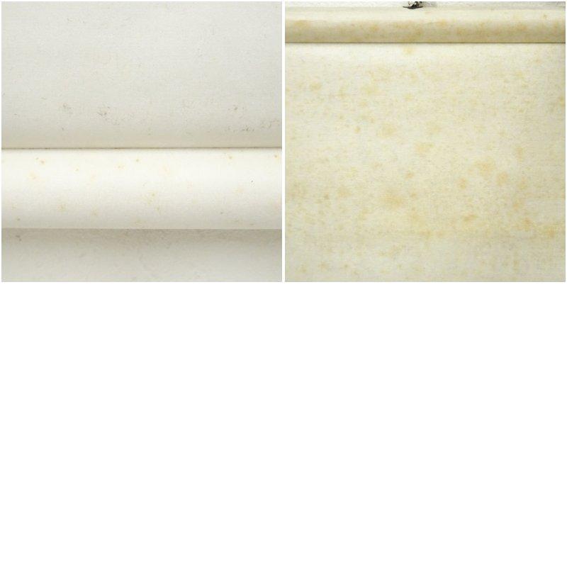 河東碧梧桐 俳句 行書 肉筆紙本掛軸（保護箱） : 茶道具と掛軸の