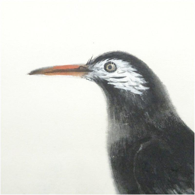 田中案山子筆　晩秋　花鳥図　肉筆紙本掛軸（共箱）_3