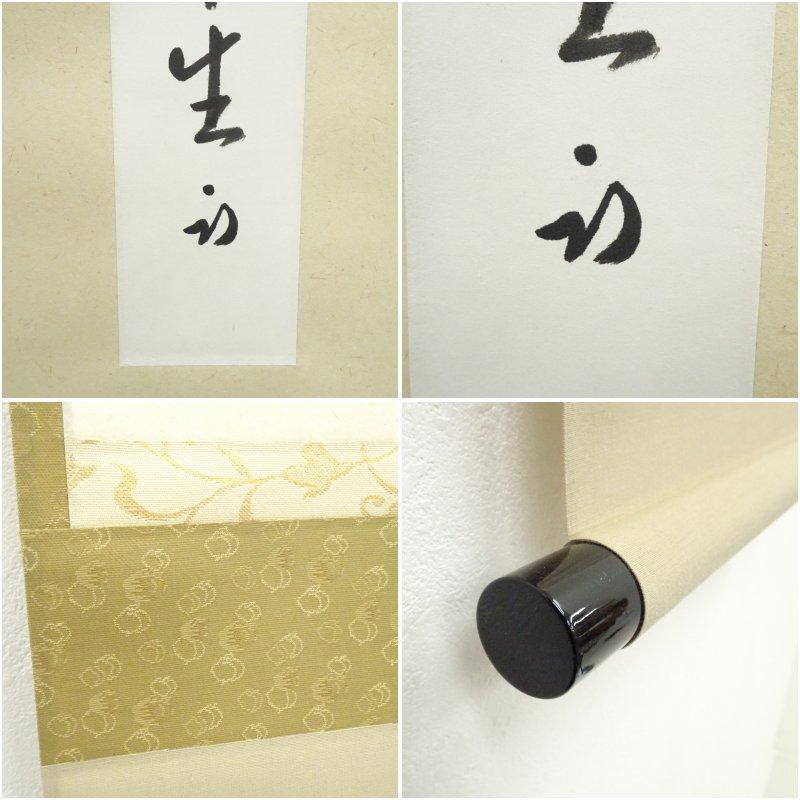 久田家十二代　尋牛斎（宗也）筆　「池塘春章生」　肉筆短冊掛軸（保護箱）_5