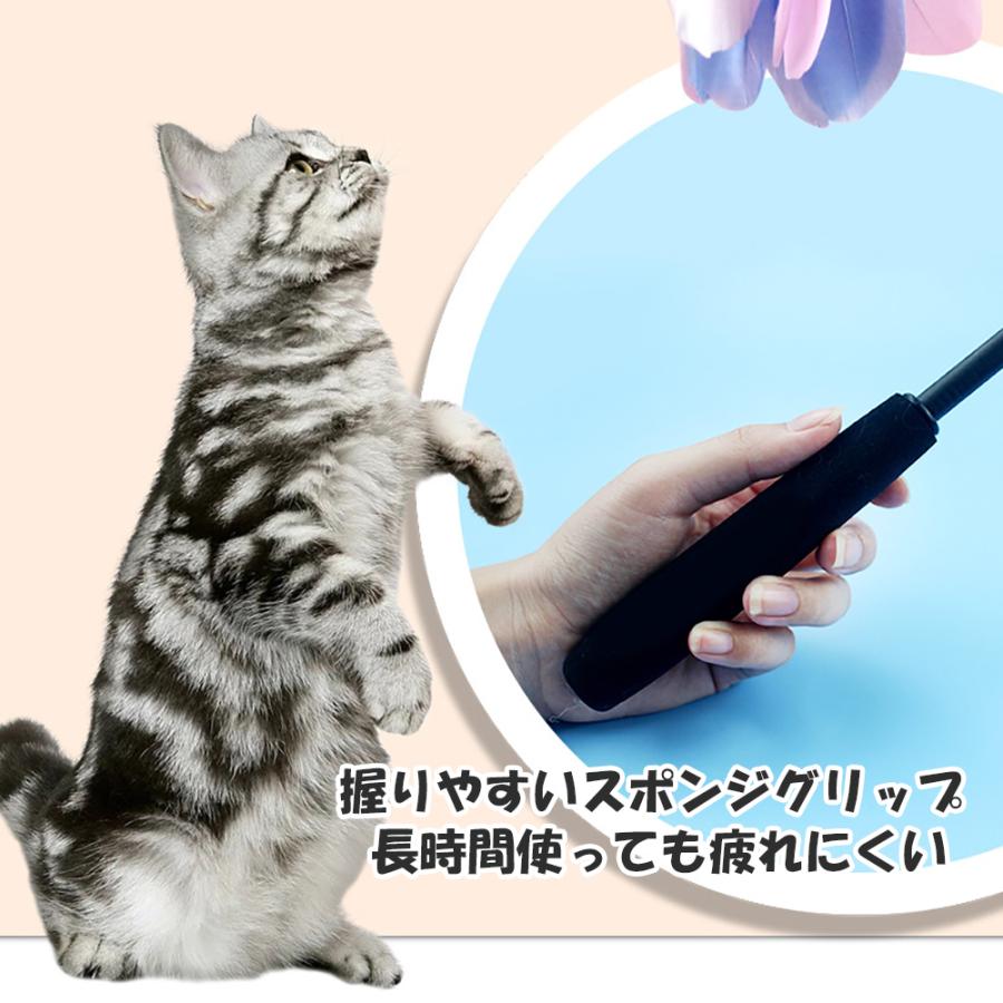 猫じゃらし 超ロングタイプ 180cm 伸縮式 長さ4段調節 グラス