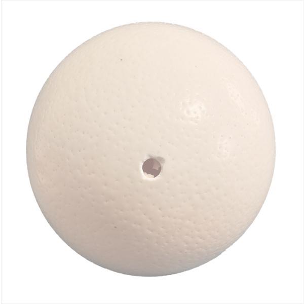 国産 ダチョウの卵殻 工芸品用 （北海道・沖縄・離島配送不可） たまご