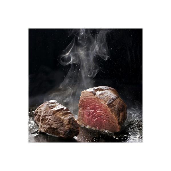 【希少ジビエ】南アルプス オーストリッチ 粗挽きソーセージ 10個 ダチョウ肉 挽き肉500g 南アルプスオーストリッチミート100%：山梨県産のダチョウ