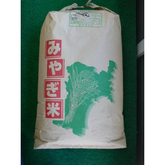 R6年 リピ買い 農家のレア品種米  兵庫県産シキユタカ 30kg R6年 リピ買い 農家のレア品種米 兵庫県産シキユタカ 30kg