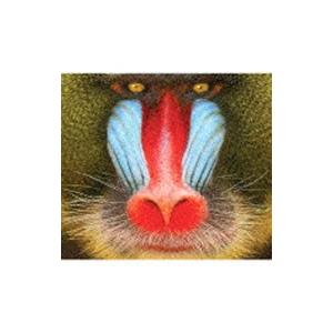 サッカーズ ｗｉｌｄ ｓｍｉｌｅ T ネットオフ まとめてお得店 通販 Yahoo ショッピング