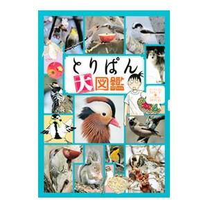 とりぱん大図鑑／とりのなん子 | ブランド登録なし