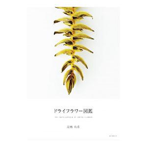 ドライフラワー図鑑 高橋有希 T ネットオフ まとめてお得店 通販 Yahoo ショッピング