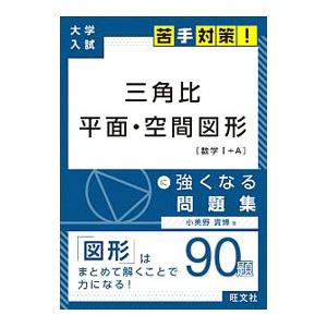 三角比 平面 空間図形に強くなる問題集 小美野貴博 T ネットオフ まとめてお得店 通販 Yahoo ショッピング