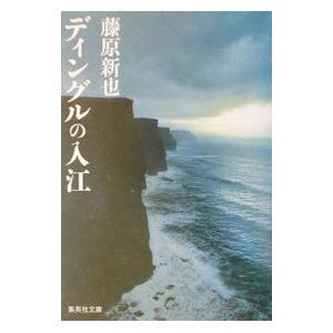 ディングルの入江／藤原新也｜netoff