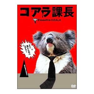 DVD／コアラ課長 | エイベックス