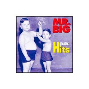 ＭＲ．ＢＩＧ／グレイテスト・ヒッツ｜netoff