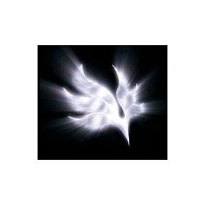 BUMP OF CHICKEN／orbital period