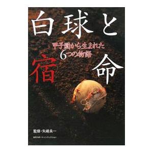 白球と宿命／矢崎良一 | ブランド登録なし