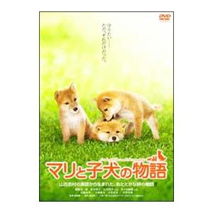 DVD／マリと子犬の物語 スタンダード・エディション | ブランド登録なし