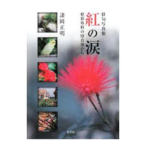 紅の涙／諸岡正明 | ブランド登録なし