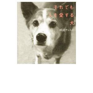 それでも人を愛する犬／田辺アンニイ | 講談社