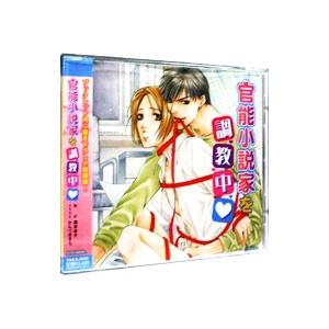 ボーイズラブ／官能小説家を調教中 | ブランド登録なし