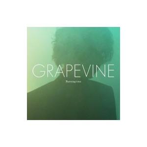 ＧＲＡＰＥＶＩＮＥ／Ｂｕｒｎｉｎｇ ｔｒｅｅ 初回限定盤｜netoff