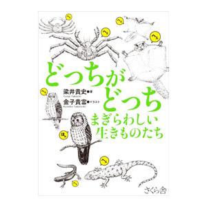 どっちがどっちまぎらわしい生きものたち／梁井貴史｜netoff