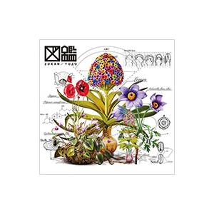 ゆず　図鑑 ゆず／図鑑 : ネットオフ ヤフー店 - 通販 - Yahoo!ショッピング