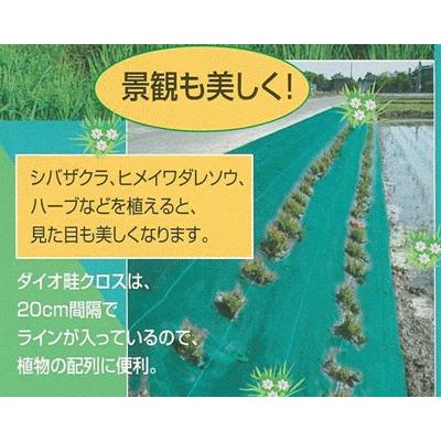 イノベックス ダイオ畦クロス 巾0.5m×100m｜netonya｜04