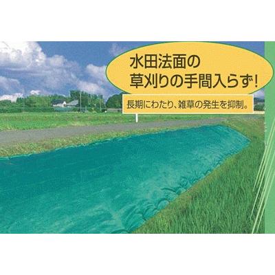 日本最大級 ダイオ化成 ダイオ畦クロス 巾2m 100m 売れ筋 Blog Lonolife Com