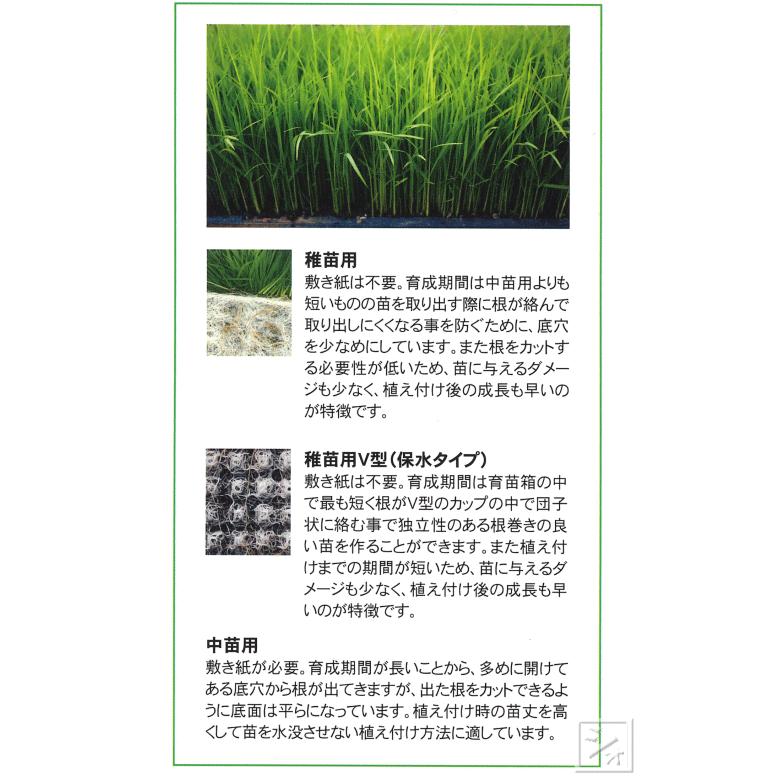 アイカ （法人配送限定） 水稲用育苗箱 稚苗用V型 保水タイプ 30個