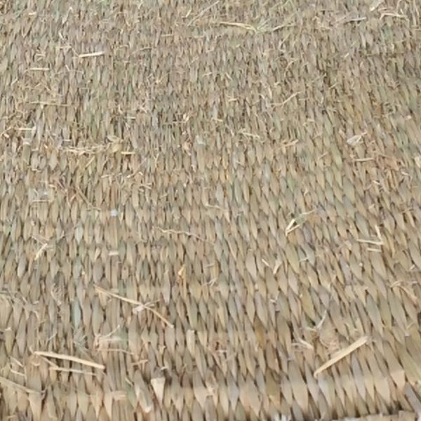 農用 藁むしろ 約93×180cm 約1畳 （約2.5kg） （5枚セット） : ねっと