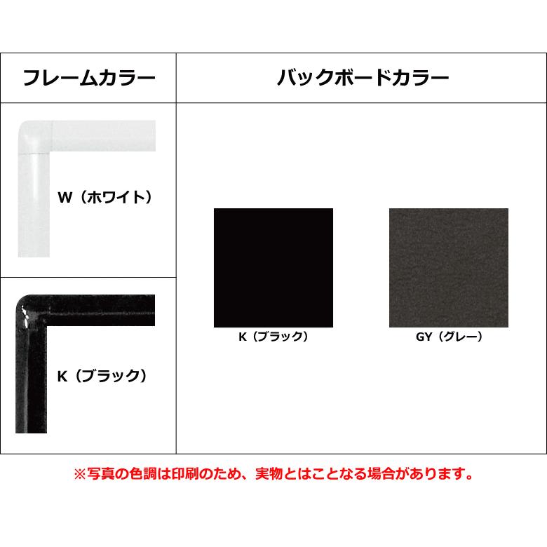 ユニフォーム額 L201 Lサイズ ユニフォームハンガー付 【立雛】
