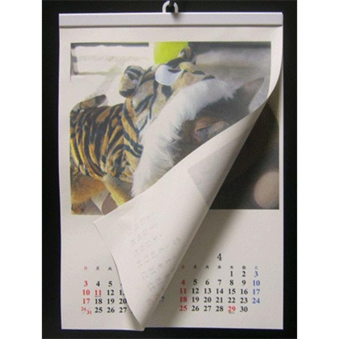 カレンダーハンガー 手作りカレンダー用ハンガーa4用紙縦用 19mm Calendarhangera419 Net Pets Hal 通販 Yahoo ショッピング