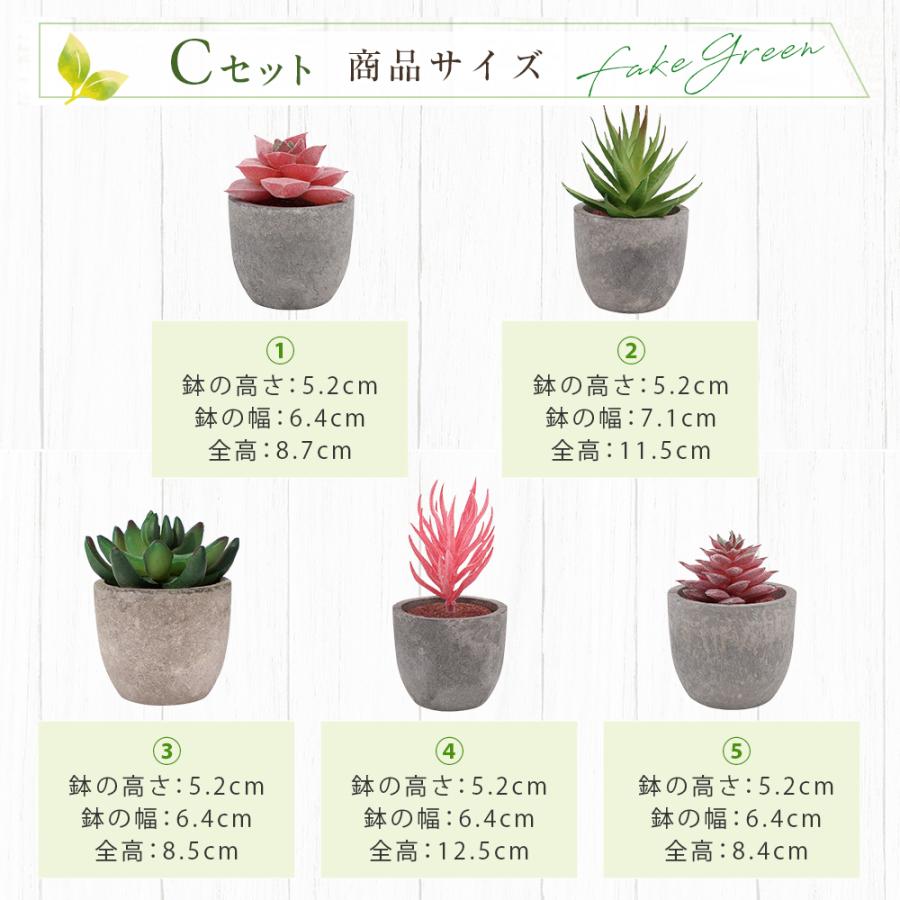5点セット フェイクグリーン ミニ 人工観葉植物 人工多肉植物 観葉植物