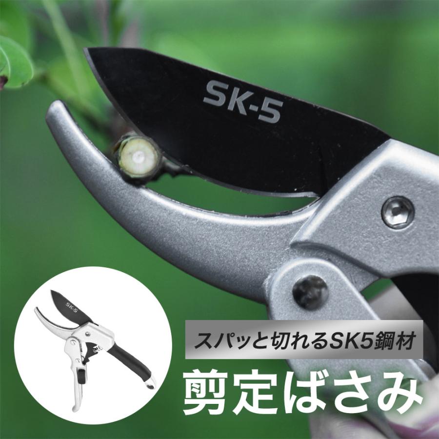 スパっと切れる SK5鋼材 剪定ばさみ 園芸用ハサミ 枝切りはさみ 小型