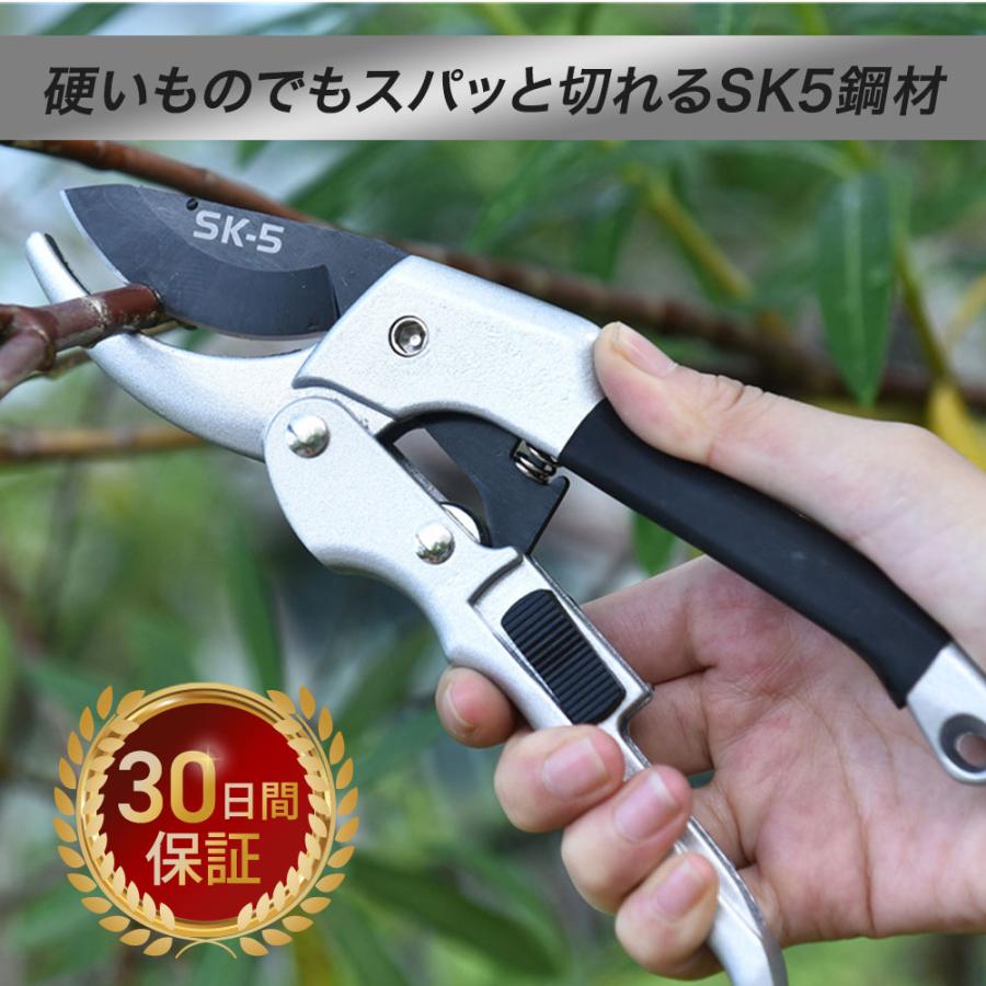スパっと切れる SK5鋼材 剪定ばさみ 園芸用ハサミ 枝切りはさみ 小型