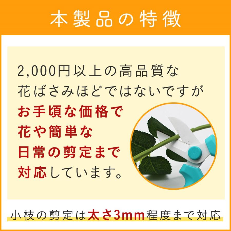 選べる3色 花ばさみ かわいい おしゃれ 少ない力で スパっと切れる しっかり切れる 花挟 花切りばさみ ハサミ 園芸 ガーデニング 園芸用 観葉 植物 ガーデニング |  | 14