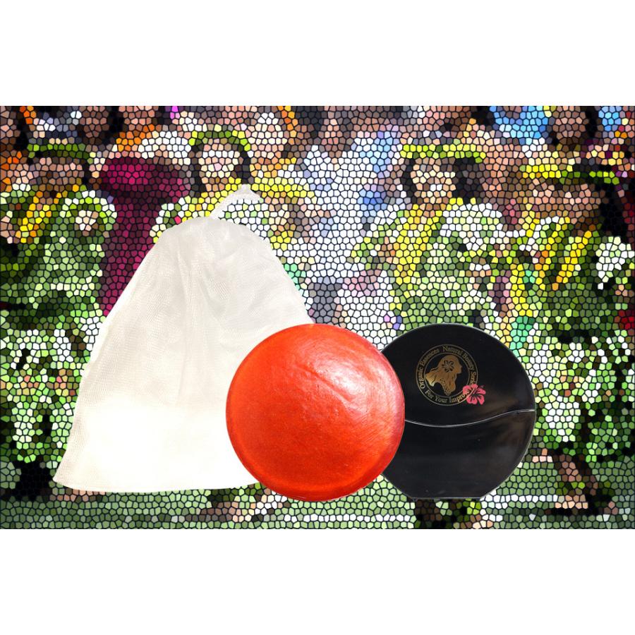 フラガール フェイスソープ 洗顔石鹸 / 100g 【あす楽】 |  | 01