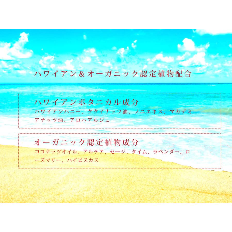 フラガール フェイスソープ 洗顔石鹸 / 100g 【あす楽】 |  | 06