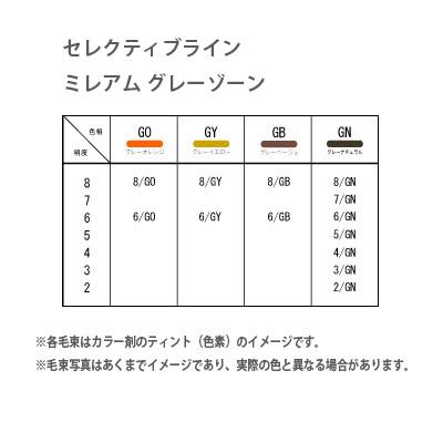 デミ セレクティブライン ミレアム グレーゾーン グレーベージュ GB 第1剤 / 80g 【 ヘアカラー アルカリ性カラー おしゃれ染め 白髪染め 】 | デミ コスメティクス | 03
