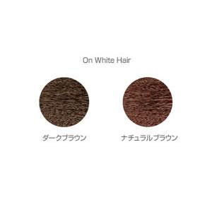 【送料無料】 ホーユー レセ カラートリートメント 2本セット / 245g×2本 | LESSE | 04