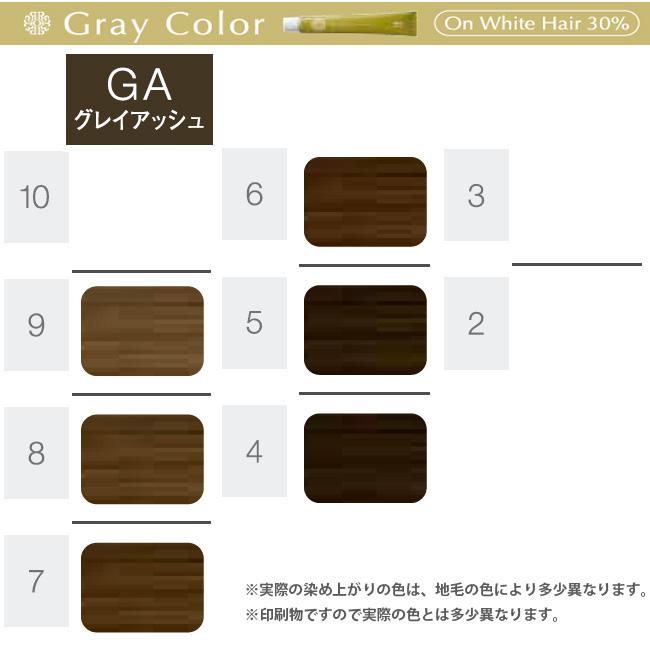 ホーユー プロステップ グレイカラー 第1剤 GA グレイアッシュ / 80g | PROSTEP | 07