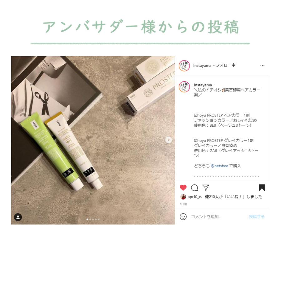 ホーユー プロステップ グレイカラー 第1剤 GA グレイアッシュ / 80g | PROSTEP | 08