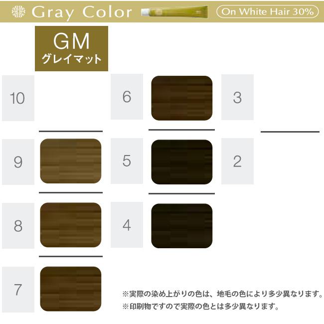 ホーユー プロステップ グレイカラー 第1剤 GM グレイマット / 80g | PROSTEP | 07