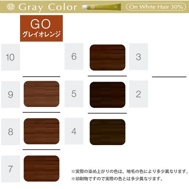 ホーユー プロステップ グレイカラー 第1剤 GO グレイオレンジ / 80g | PROSTEP | 07