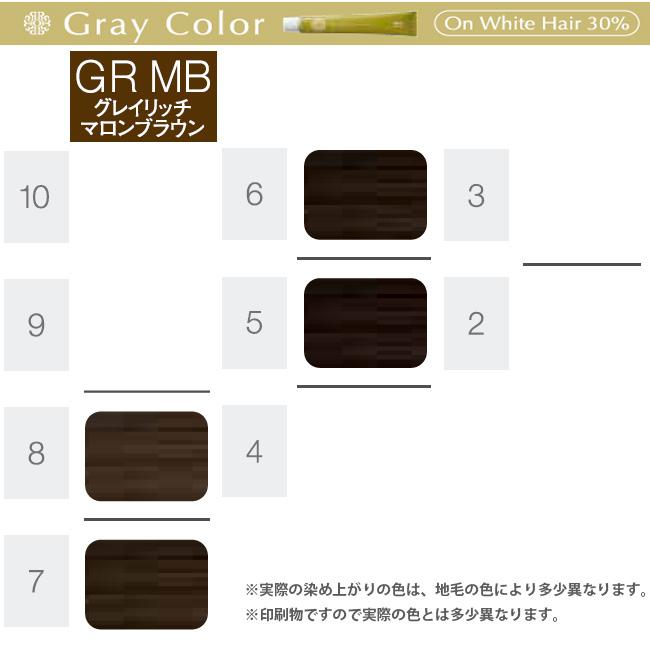 ホーユー プロステップ グレイカラー 第1剤 GR MB グレイリッチマロンブラウン / 80g | PROSTEP | 05