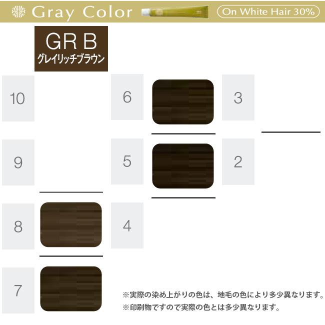 ホーユー プロステップ グレイカラー 第1剤 GR B グレイリッチブラウン / 80g | PROSTEP | 05