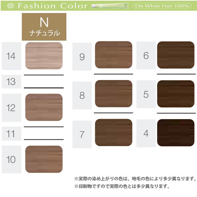 ホーユー プロステップ ファッションカラー 第1剤 N ナチュラル / 80g | PROSTEP | 10